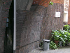 DSCN0798