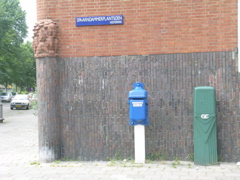 DSCN0800
