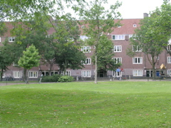 DSCN0807