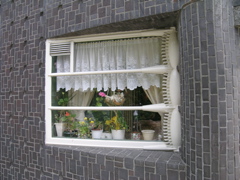 DSCN0813