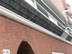 DSCN0795
